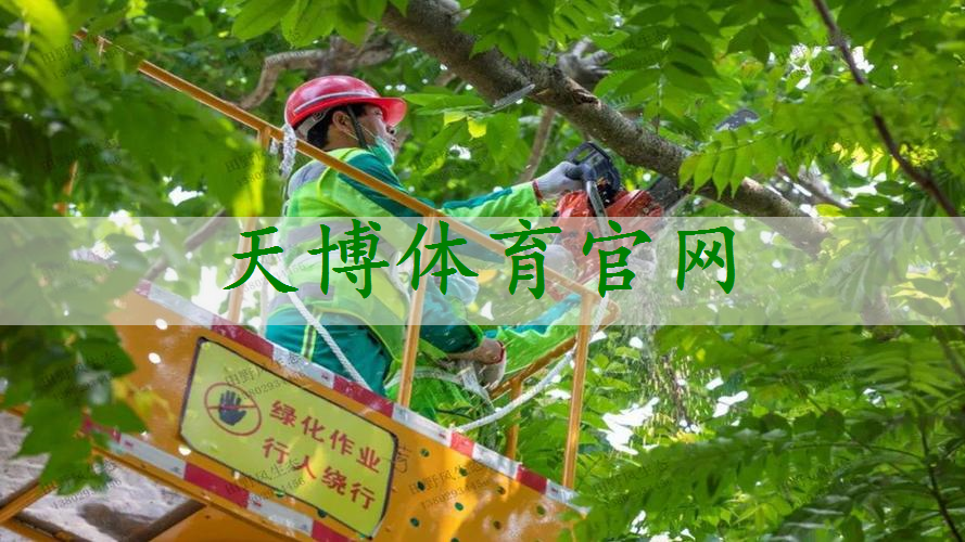 十堰路桥绿化工程公司地址