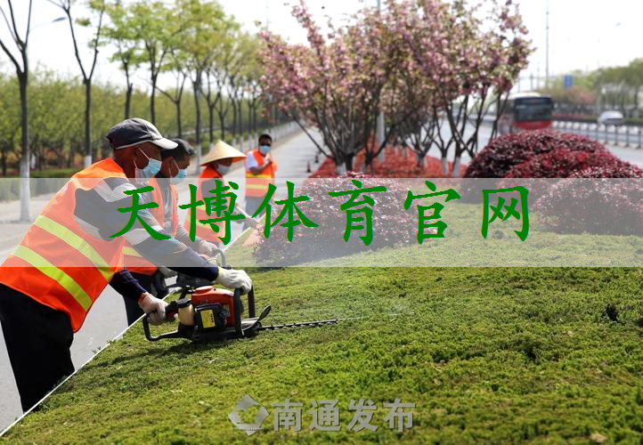 市政道路绿化工程处理费用