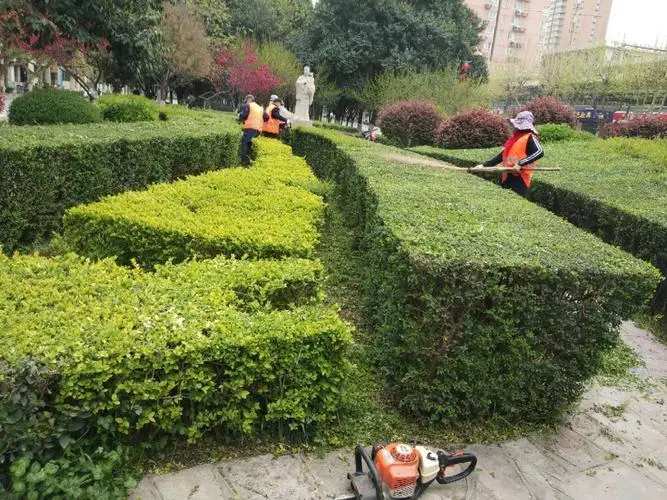 青岛绿化工程稻草